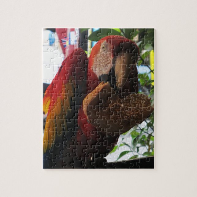 Puzzle Parrot Macaw Scarlet Manger Toast (Vertical)