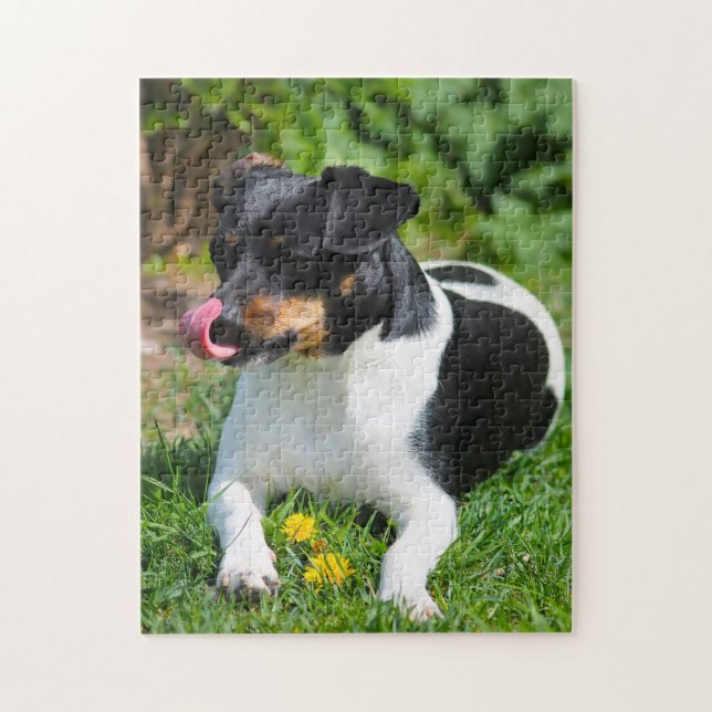Puzzle Parson Russell terrier. (Vertical)