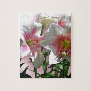 Puzzle Partie de douche d'amour de jardin de ressort de f