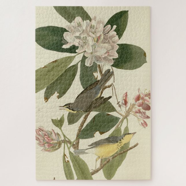 Puzzle Paruline du Canada des oiseaux d'Amérique d'Audubo (Vertical)