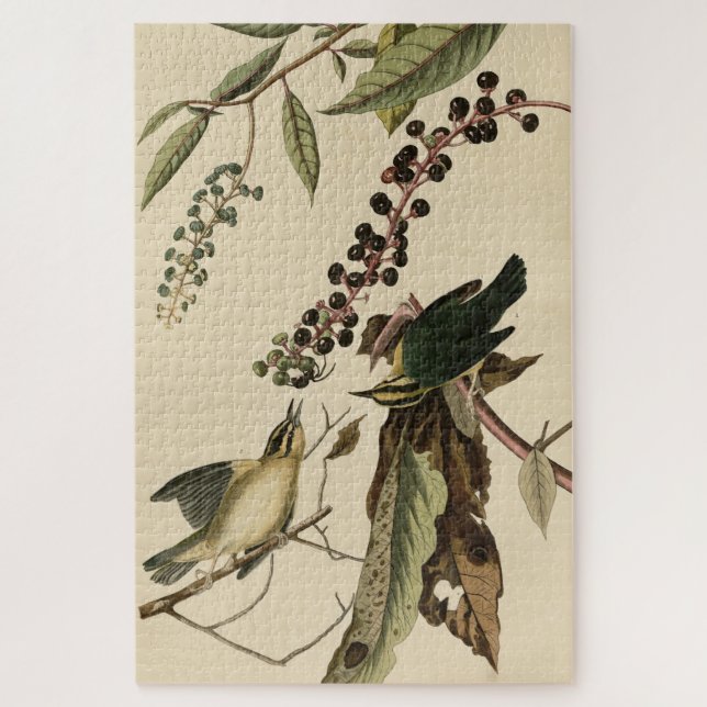 Puzzle Paruline mangeuse de vers - Audubon's Birds of Ame (Vertical)