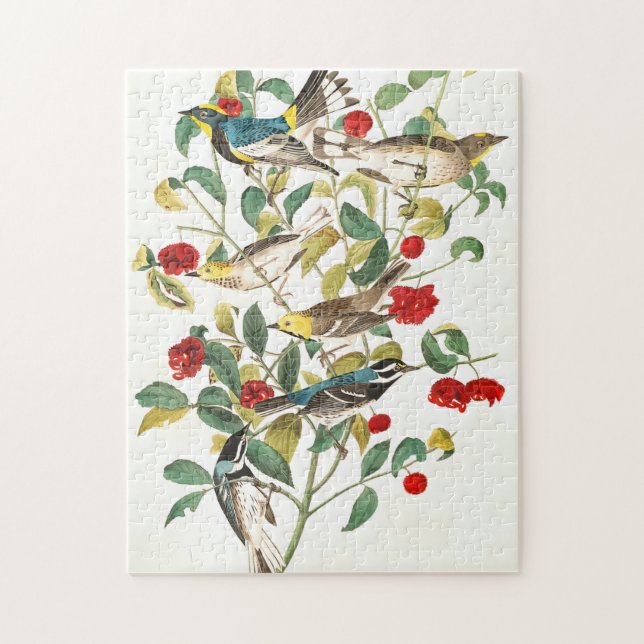 Puzzle Paruline par John James Audubon (Vertical)