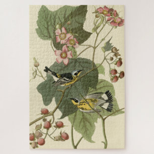 Puzzle Parulines jaunes et noires Audubon's Birds of Amer