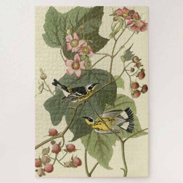 Puzzle Parulines jaunes et noires Audubon's Birds of Amer (Vertical)