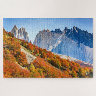 Puzzle Patagonia