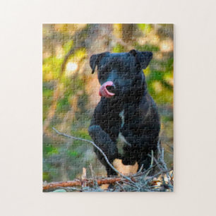 Puzzle Patterdale Terrier.