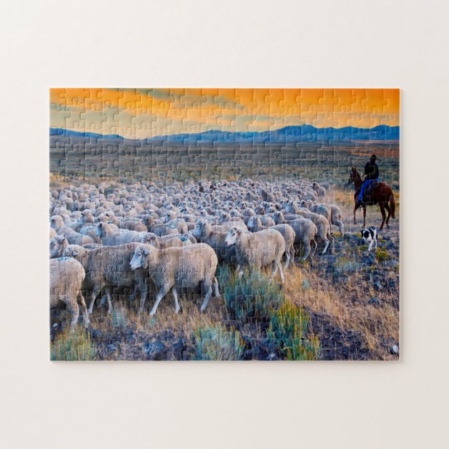 Puzzle Pâturage de moutons dans l'Idaho. (Horizontal)