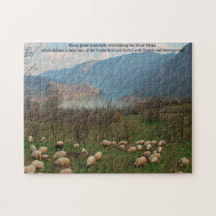 Puzzle Pâturage des moutons à la frontière de Bosnie