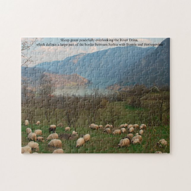 Puzzle Pâturage des moutons à la frontière de Bosnie (Horizontal)