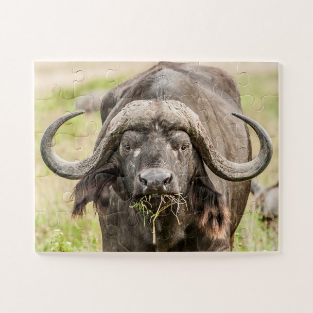 Puzzle Pâturage du bison (Horizontal)