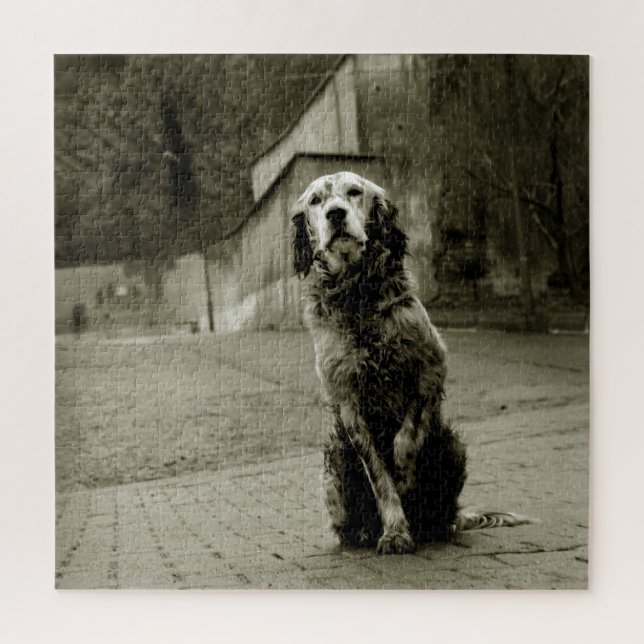 Puzzle Pauvre chien en attente (Vertical)