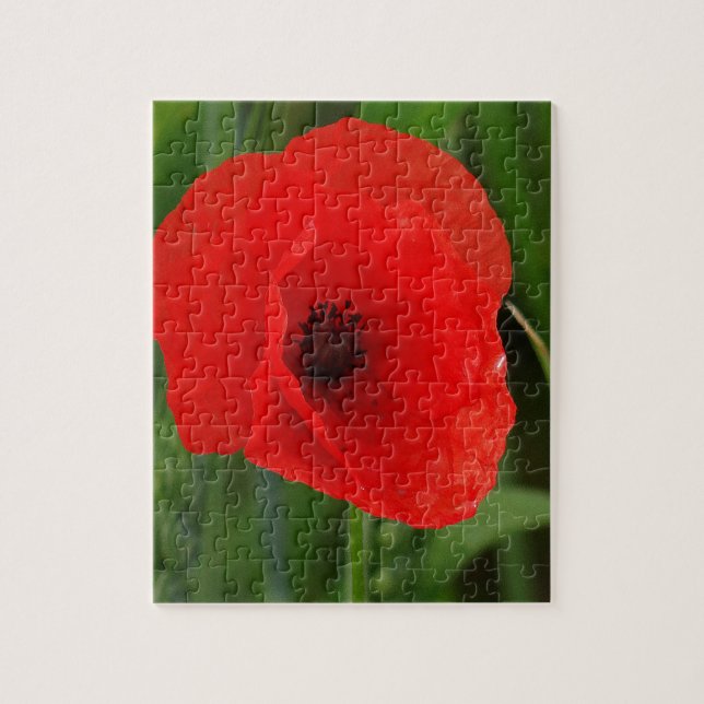 Puzzle Pavot (Vertical)