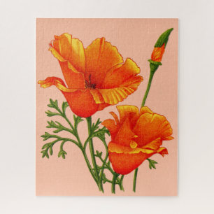 Puzzle Pavot de Californie