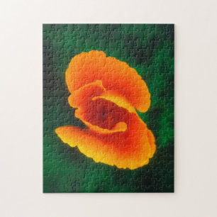 Puzzle Pavot de Californie
