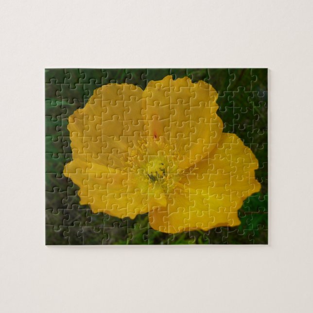 Puzzle Pavot jaune Fleur sauvage de l'Alaska Floral (Horizontal)