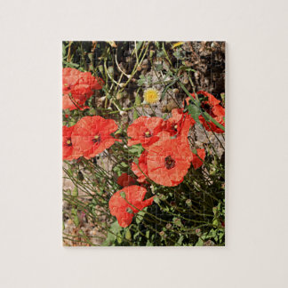 Puzzle Pavot orange sur El Camino