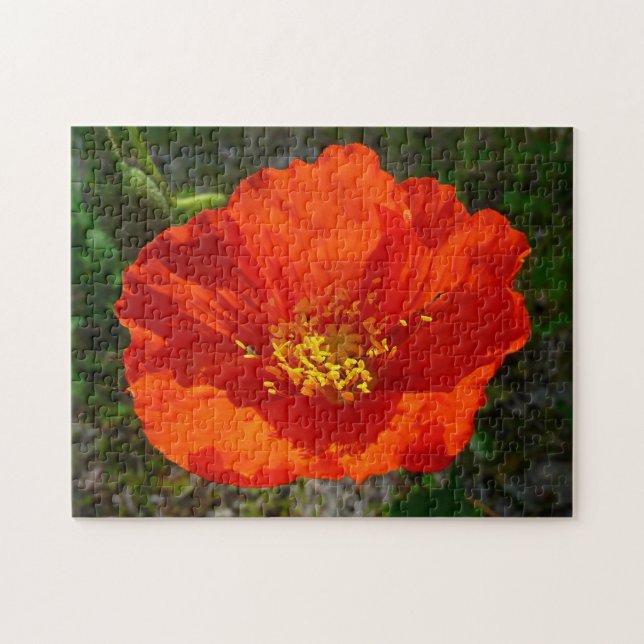 Puzzle Pavot rouge de l'Alaska Fleur colorée (Horizontal)