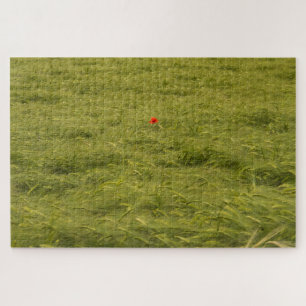 Puzzle Pavot solitaire dans un champ vert - Très difficil