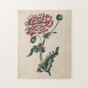 Puzzle Pavot vintage botanique floral