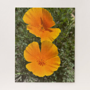 Puzzle Pavots de Californie dorés en fleurs, Oakland