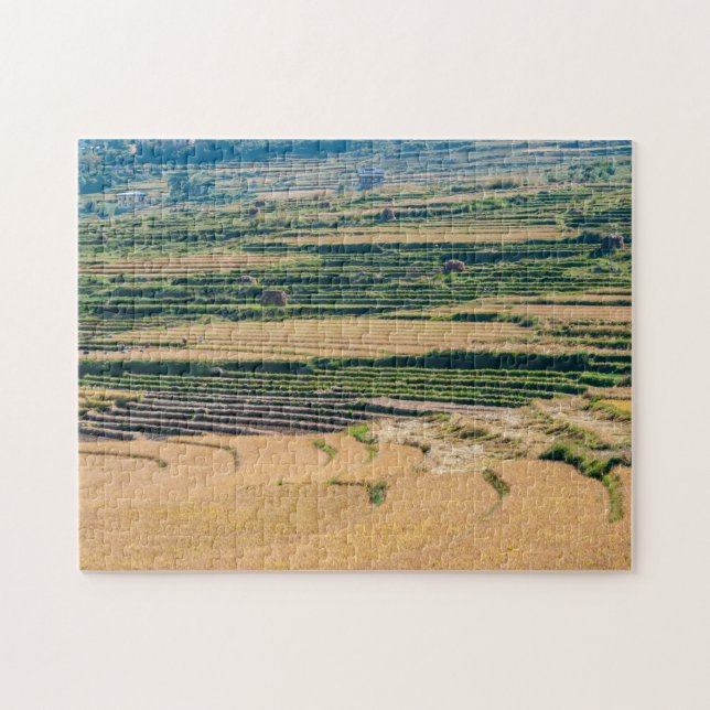 Puzzle Paysage agricole - Bhoutan, Asie, Himalaya (Horizontal)