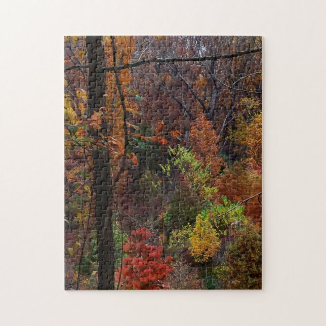 Puzzle Paysage automnal en Arkansas Jigsaw Puzzel (Vertical)