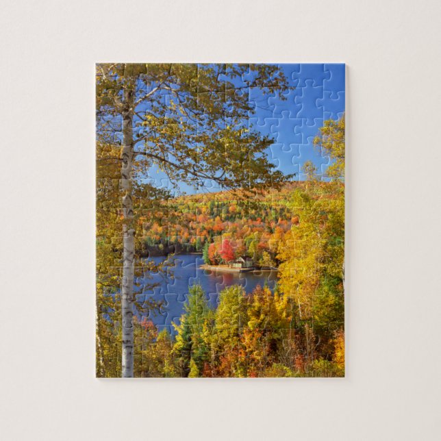 Puzzle Paysage d'arbres en automne, Maine (Vertical)