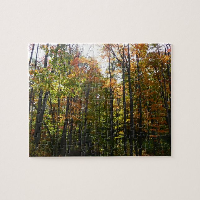 Puzzle Paysage d'automne de forêt ensoleillée (Horizontal)