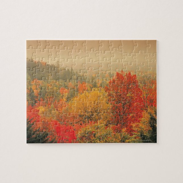 Puzzle Paysage de chute, New Hampshire, Etats-Unis (Horizontal)