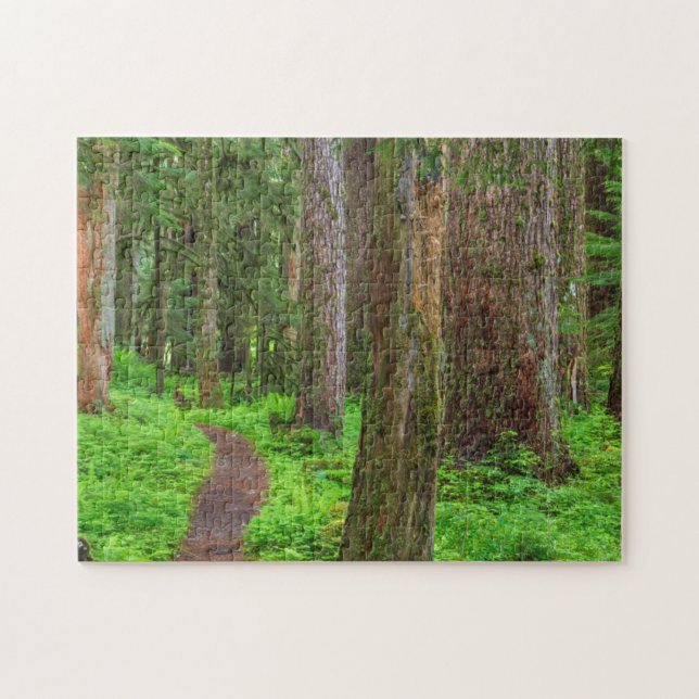 Puzzle Paysage de forêt ancienne (Horizontal)