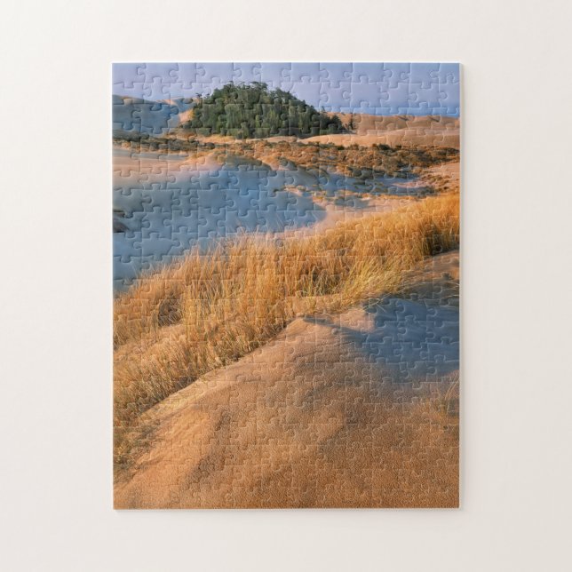 Puzzle Paysage des dunes de sable de l'Oregon (Vertical)