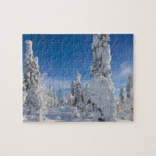 Puzzle Paysage d'hiver dans Lappland