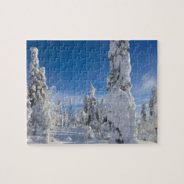 Puzzle Paysage d'hiver dans Lappland (Horizontal)