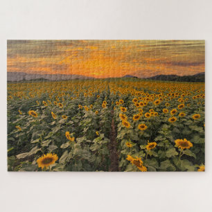 Puzzle Paysage du coucher du soleil Nature Terrain de tou
