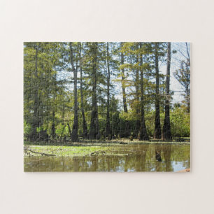 Puzzle Paysage du marais de Cypress