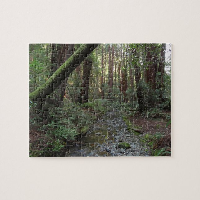 Puzzle Paysage forestier du ruisseau de Muir Woods (Horizontal)