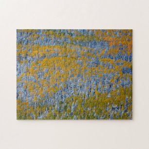 Puzzle Paysage forestier en automne