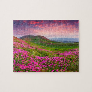 Puzzle Paysage magnifique 8" x 10"