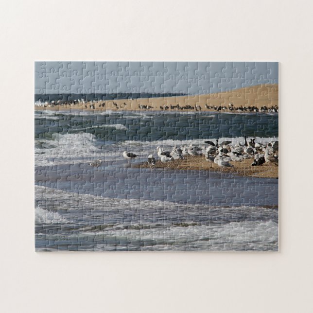 Puzzle Paysage marin de Cape Cod avec des oiseaux de (Horizontal)