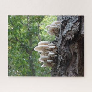 Puzzle paysager : Beaux champignons en porcelaine