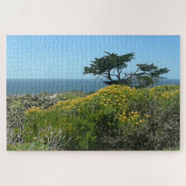 Puzzle paysager : Vue sur l'océan de l'Afrique du  (Horizontal)