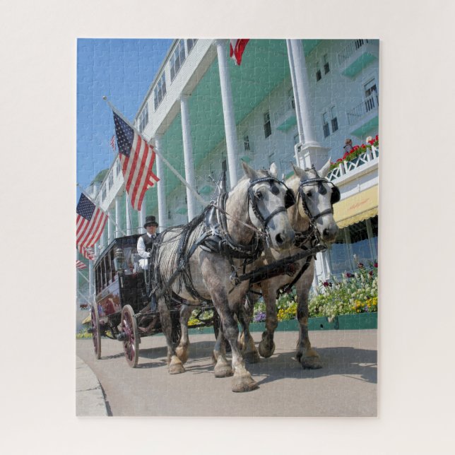 Puzzle PC hippomobile du chariot 16x20- 520 d'île de (Vertical)