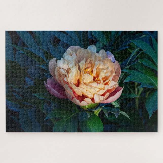 Puzzle Peach Peony - Photographie romantique à fleurs (Horizontal)