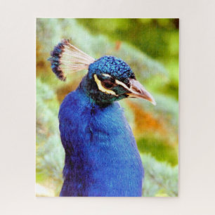 PUZZLE PEACOCK 