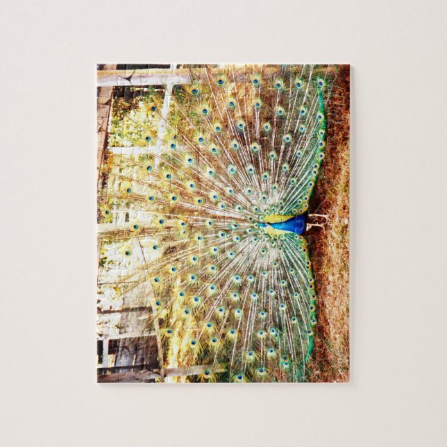 Puzzle Peacock (Vertical)