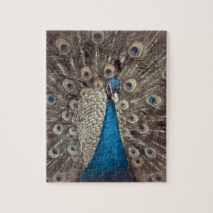 Puzzle Peacock bleu antique