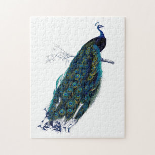 Puzzle Peacock couleur bleu vintage