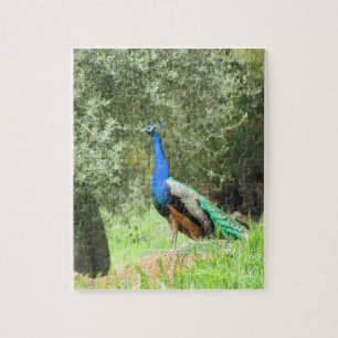 Puzzle - Peacock on the Hill