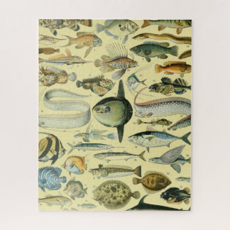 Puzzle Pêche scientifique vintage