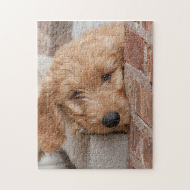 Puzzle Peecing de Goldendoodle (Vertical)